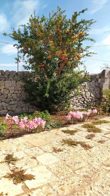 Vila Trullo Mami Putignano Exteriér fotografie