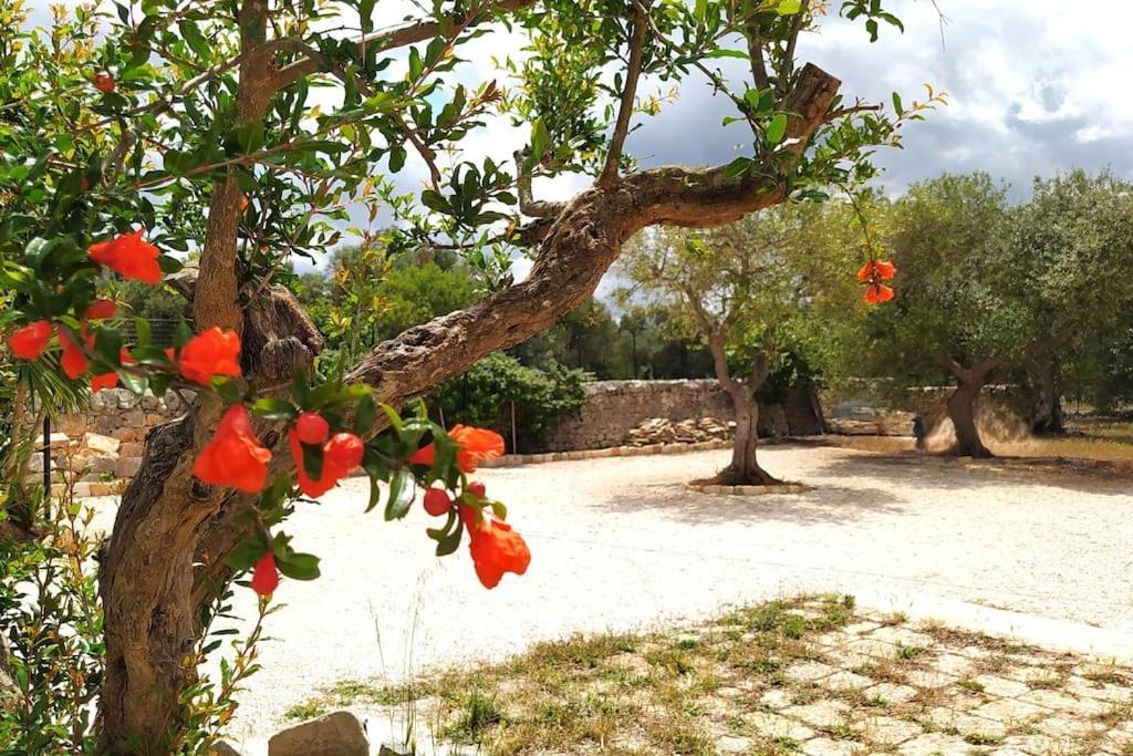 Vila Trullo Mami Putignano Exteriér fotografie