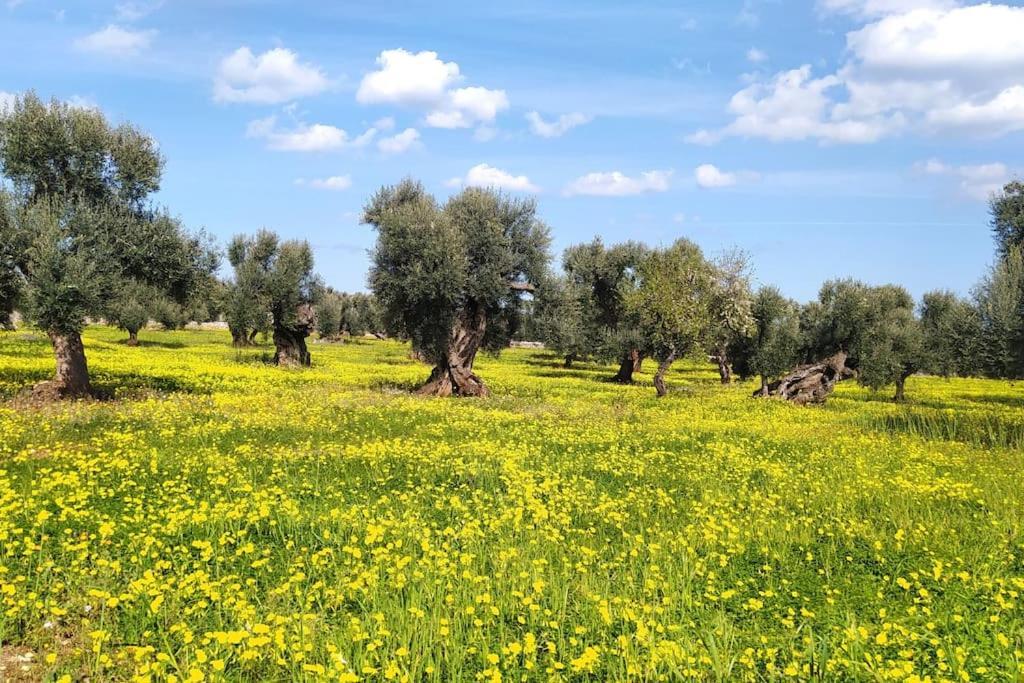 Vila Trullo Mami Putignano Exteriér fotografie